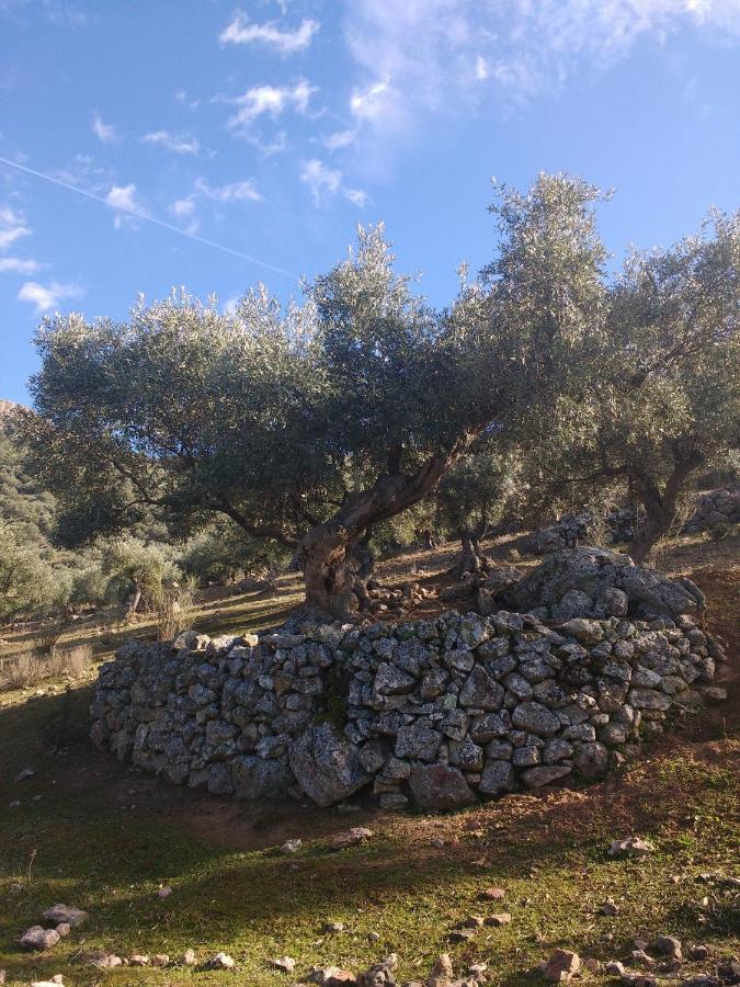 Casa Relojero Holiday home Zarza-Capilla